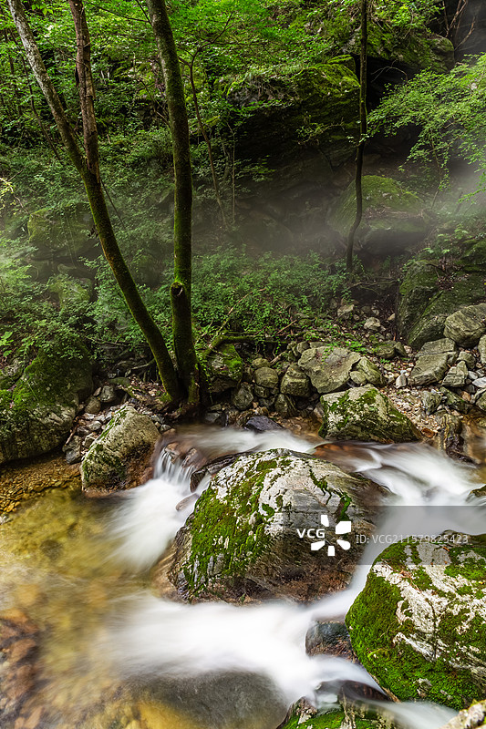 陕西牛背梁国家森林公园溪流图片素材