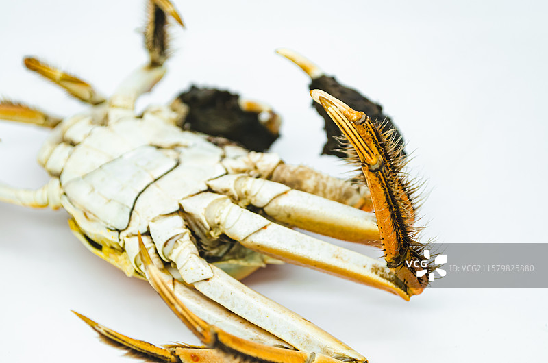 中国海产海鲜农副产品拍摄主题，高视角盘子里煮熟的阳澄湖大闸蟹公蟹母蟹螃蟹，室内无人影棚拍摄图像摄影图片素材