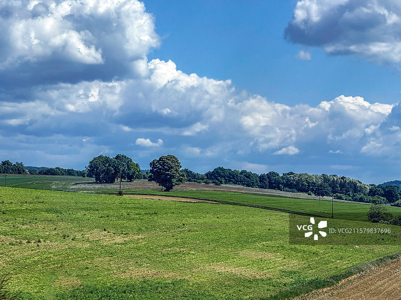 绿色原野图片素材