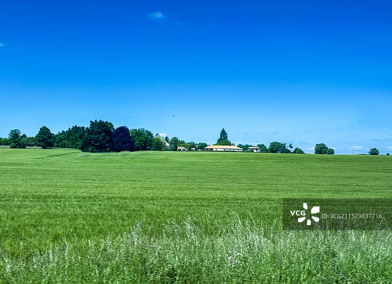 绿色原野图片素材