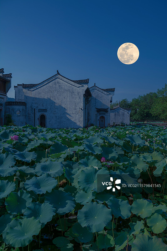 满月与呈坎 荷塘月色图片素材
