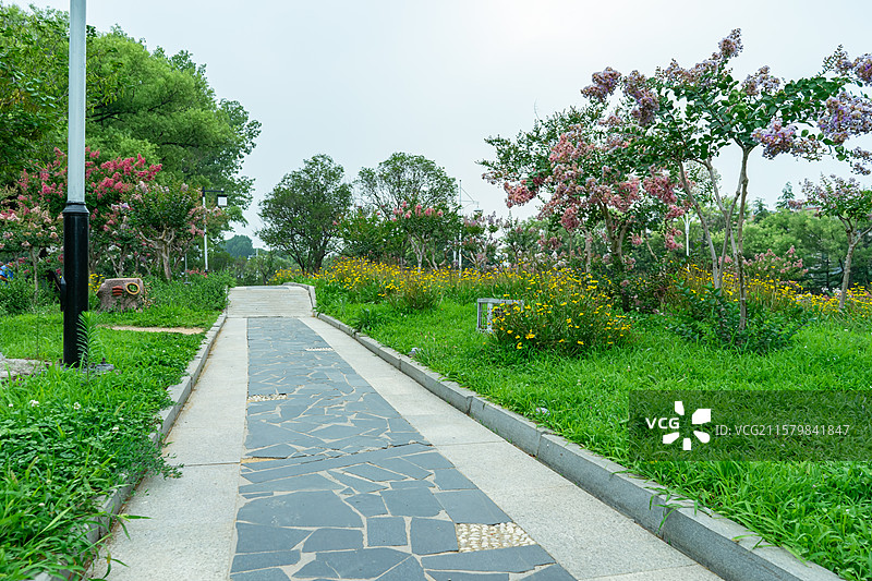 中国成功公园自然风光拍摄主题，山东泰安凤凰湖公园，中国园林公园花园路，户外白昼无人图像摄影图片素材