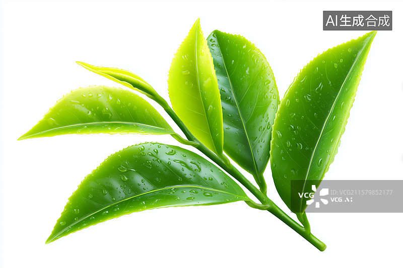 【AI数字艺术】白色背景下的茶叶特写图片素材