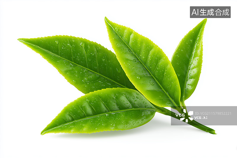 【AI数字艺术】白色背景下的茶叶特写图片素材