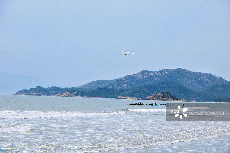 广东惠州双月湾 一只白鹭上青天图片素材