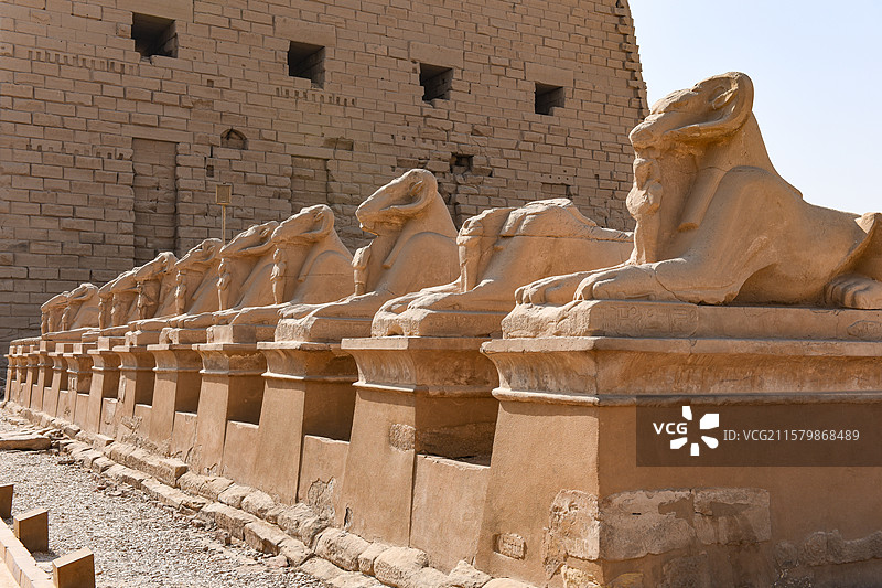 埃及卢克索卡纳克神庙公羊石雕群图片素材