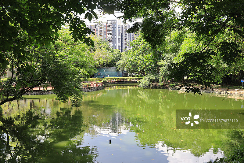 广东顺德北滘公园图片素材