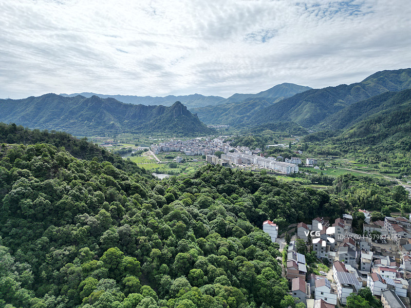 丽水缙云苦槠林图片素材