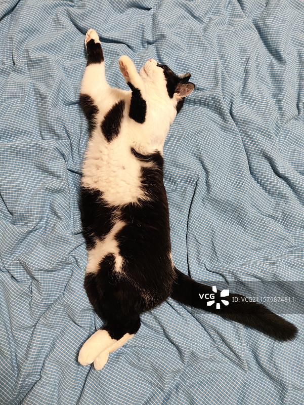 健身后图片素材