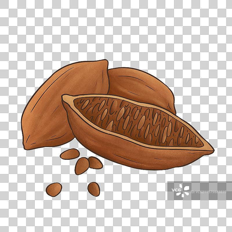 切开的可可豆荚与可可豆图片素材