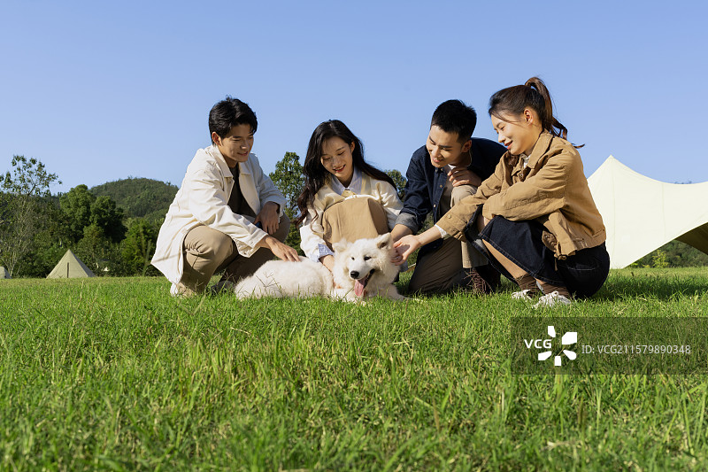 四个年轻人与宠物狗在一起互动玩耍图片素材