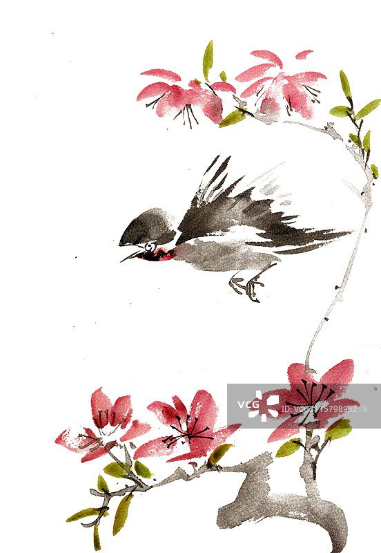 桃花与燕子图片素材