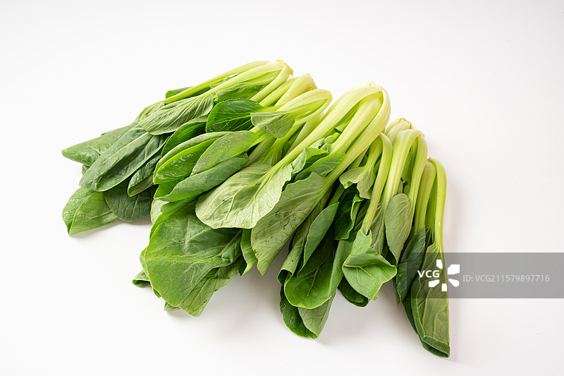 上海青青菜苗图片素材