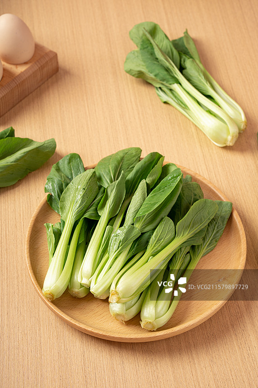 上海青青菜苗图片素材