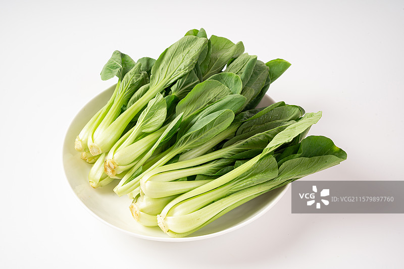 上海青青菜苗图片素材