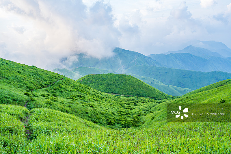 青山绿谷云雾缭绕的自然风光图片素材