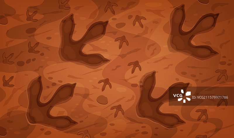 史前时代的恐龙化石足迹图片素材