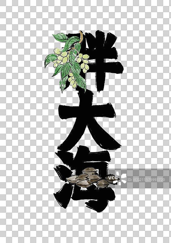 水墨风中医药文字插画元素-胖大海图片素材