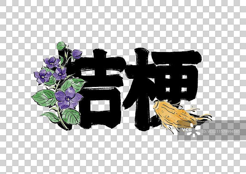 水墨风中医药文字插画元素-桔梗图片素材
