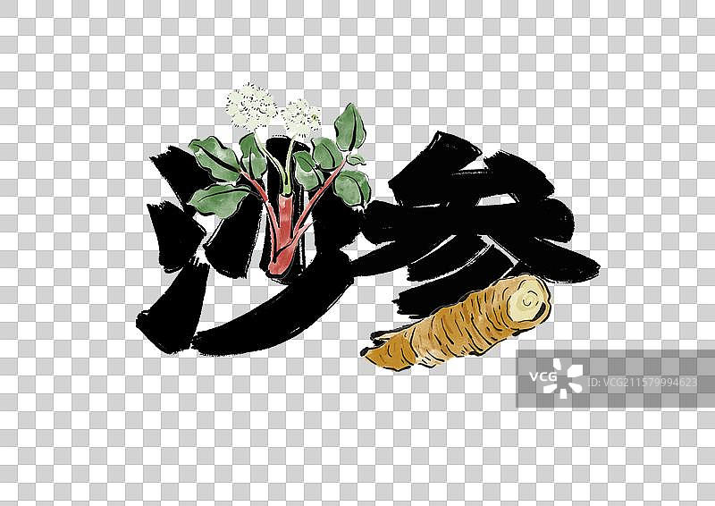 水墨风中医药文字插画元素-沙参图片素材