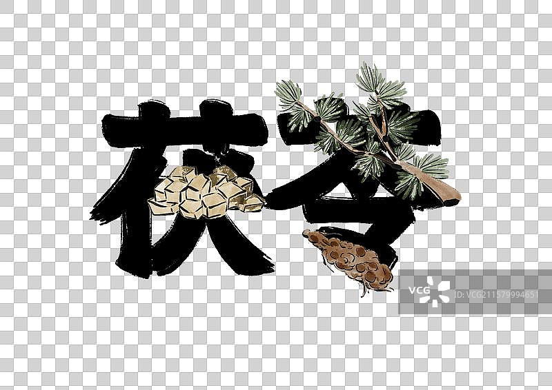 水墨风中医药文字插画元素-茯苓图片素材