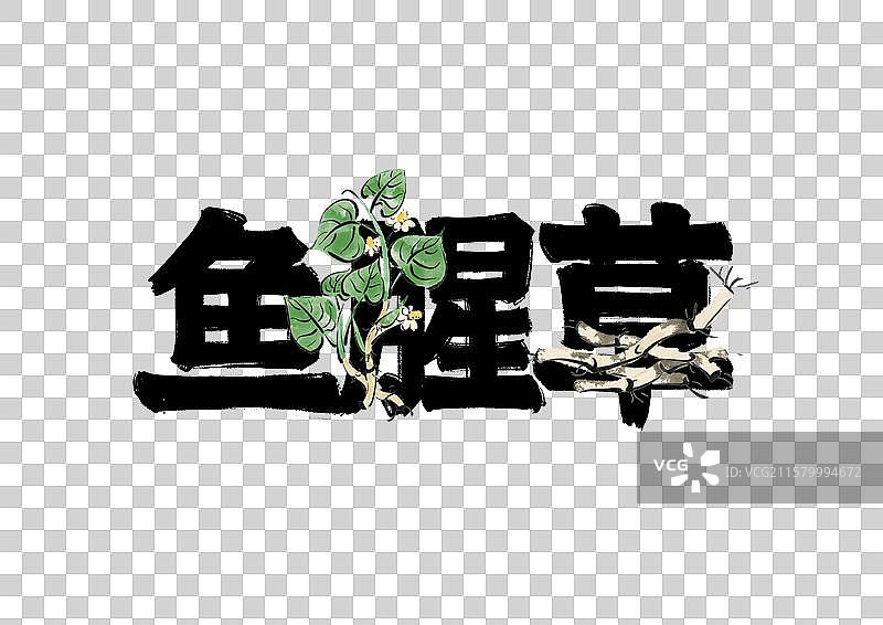 水墨风中医药文字插画元素-鱼腥草图片素材