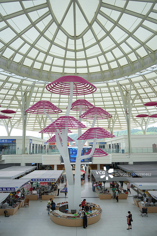 南华县野生菌交易市场内部环境图片素材