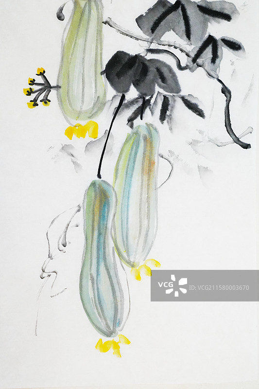 蔬菜 果实 秋天 秋分 立秋 收获 丝瓜 南瓜 营养 有机食品 手绘插画齐白石风格中国画图片素材