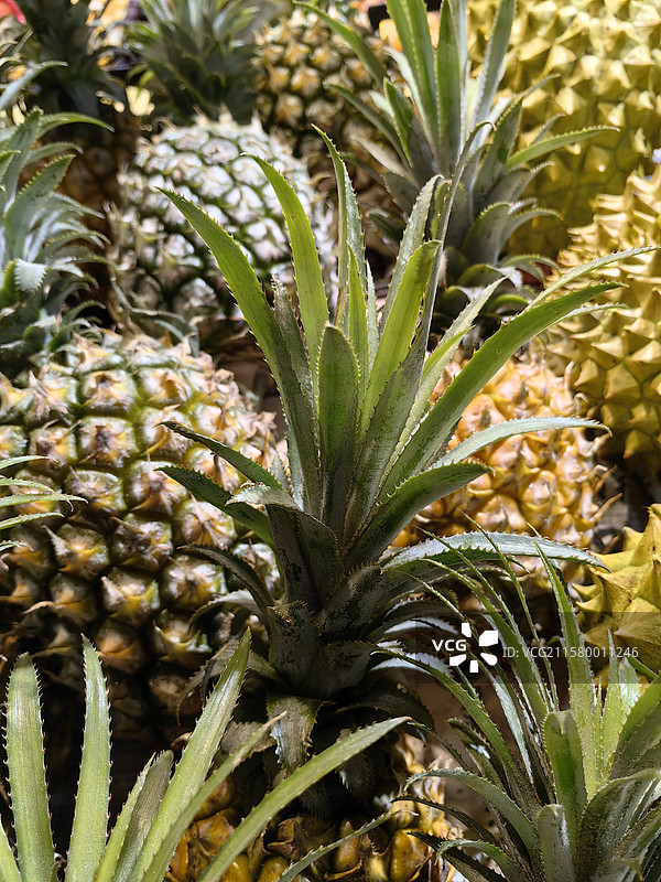 水果特写菠萝头黄色绿色生机生命力美食无人图片素材