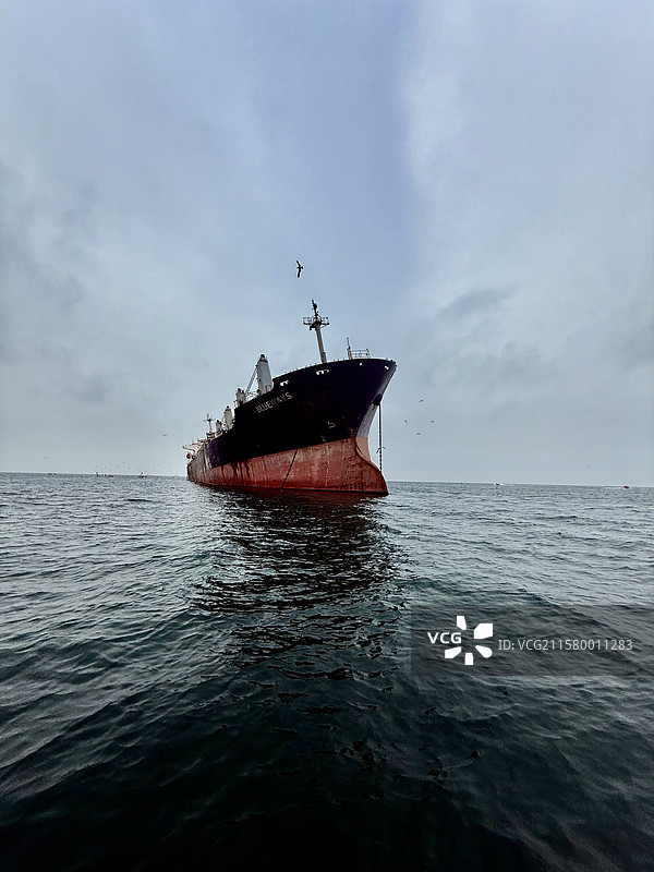 #布鲁威斯图片素材