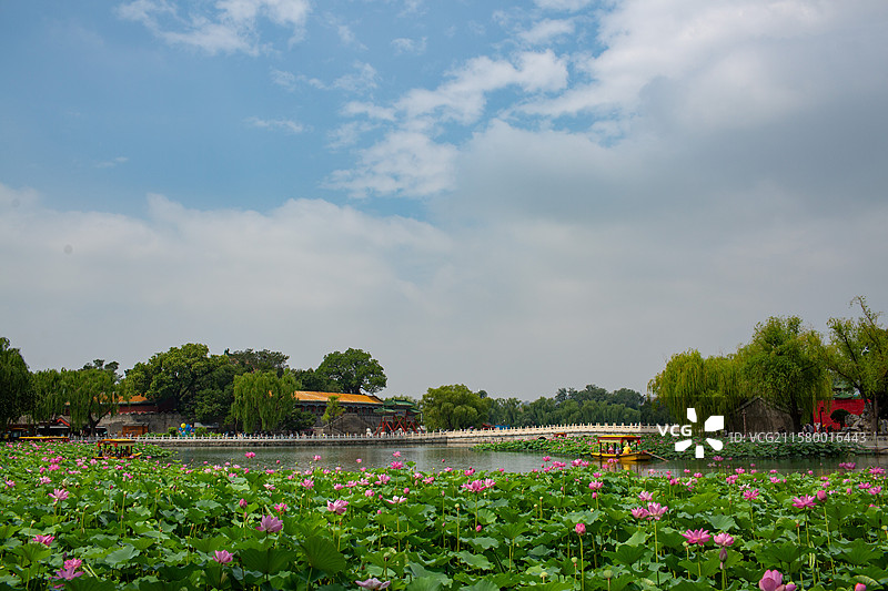 北海公园夏日荷花游船图片素材