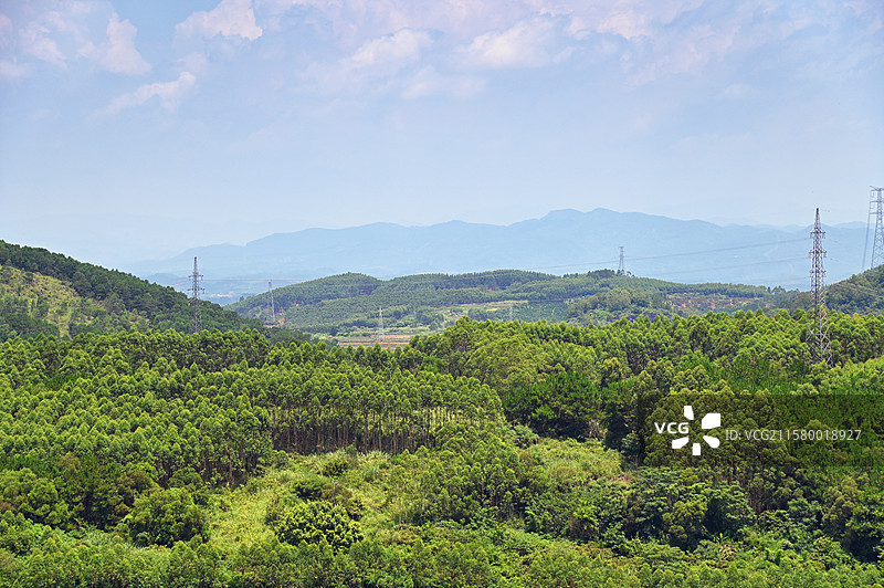 罗定苹塘镇的森林覆盖图片素材