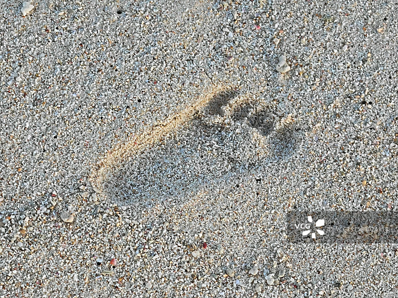 沙滩上的脚印图片素材