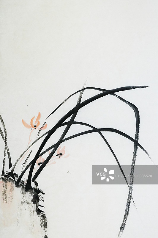 兰花 兰草 幽兰 传统文化 手绘插画齐白石风格中国画图片素材