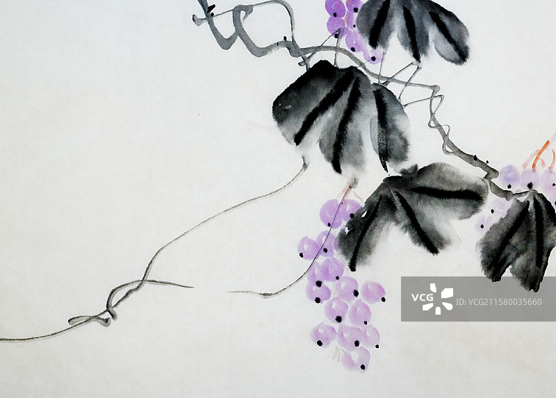 葡萄 水果 美味 营养 有机食品 手绘插画齐白石风格中国画图片素材