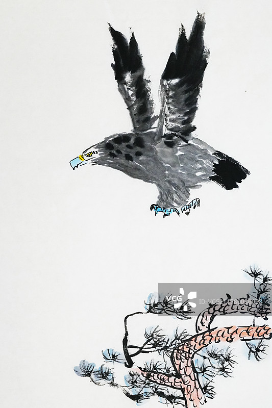 鹰 老鹰 雄鹰 手绘插画齐白石风格中国画图片素材