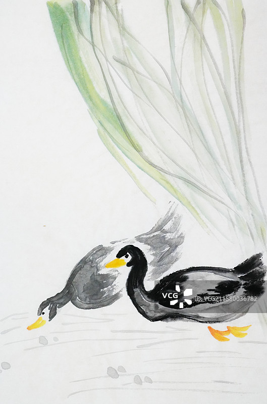 夏天 大暑 柳树 湖泊 鸭子 游 手绘插画齐白石风格中国画图片素材