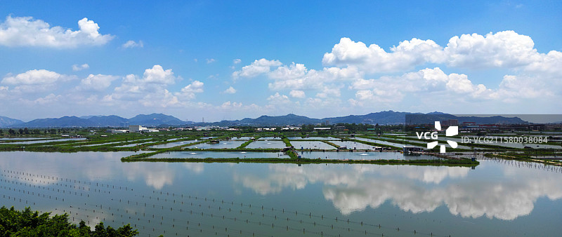 广东汕头牛田洋水田图片素材