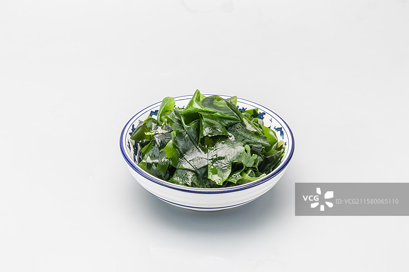 海带苗图片素材