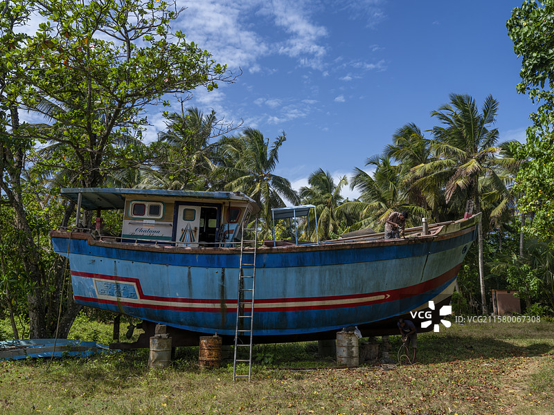斯里兰卡加勒海龟保育基地图片素材