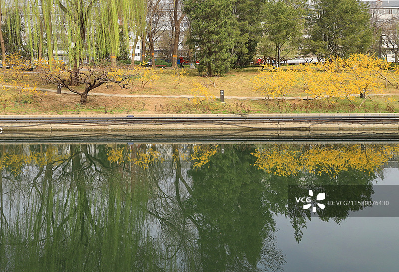 早春时节的北京元土城遗址公园图片素材