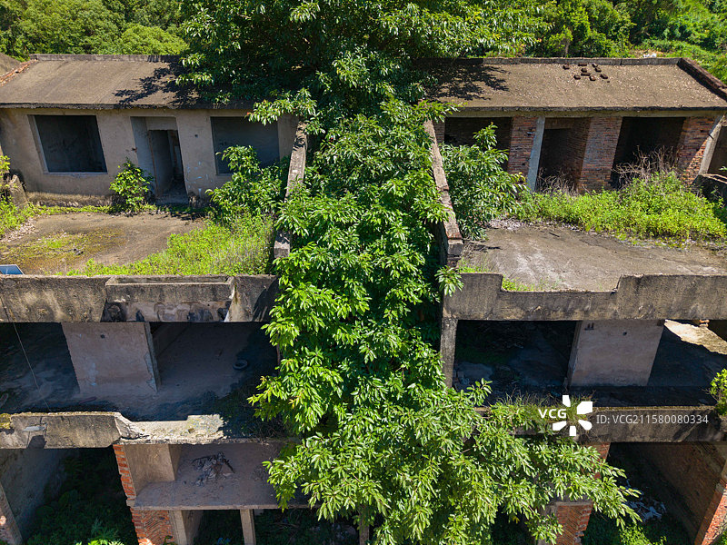 深圳市龙岗区布沙路，玉岭山庄，烂尾30多年的欧式别墅群！图片素材