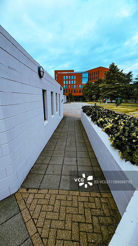 色彩线条和谐的华威大学图片素材