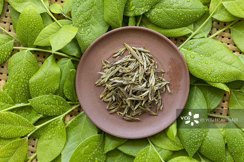 黄茶—蒙顶黄芽图片素材