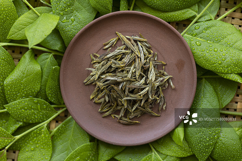 黄茶—蒙顶黄芽图片素材