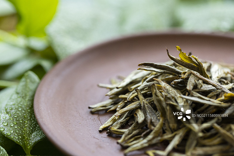 黄茶—蒙顶黄芽图片素材