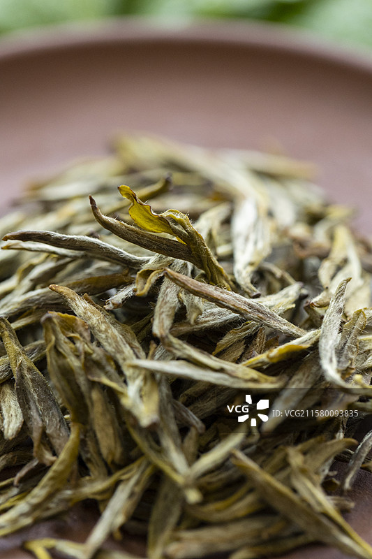 黄茶—蒙顶黄芽特写图片素材