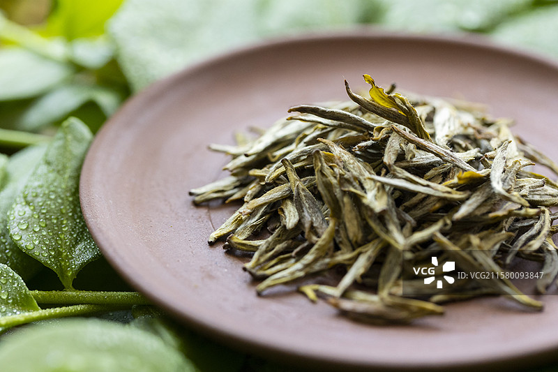 黄茶—蒙顶黄芽图片素材