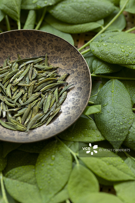 绿茶—仙芝竹尖图片素材