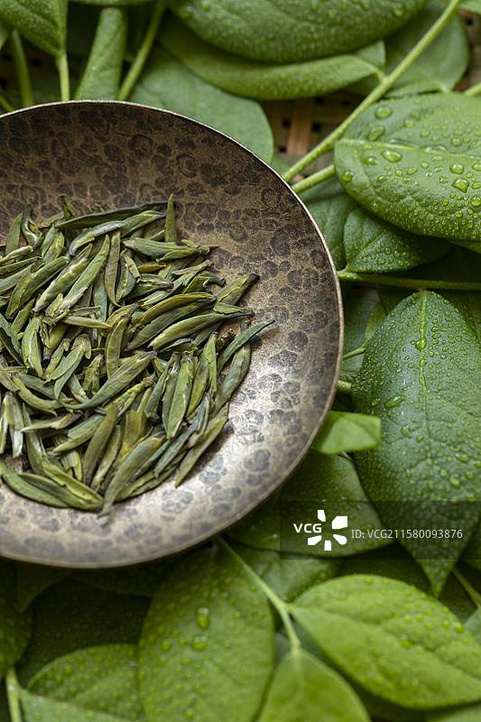 绿茶—仙芝竹尖图片素材